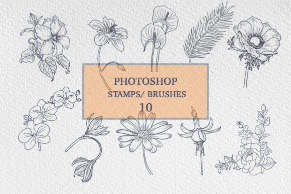 Photoshop - 10 Flower Stamps Brushes